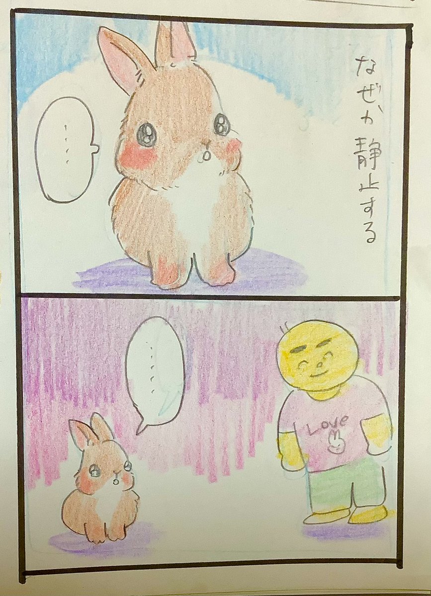うさぎの好きな遊び https://t.co/VZgyX3H1c3 