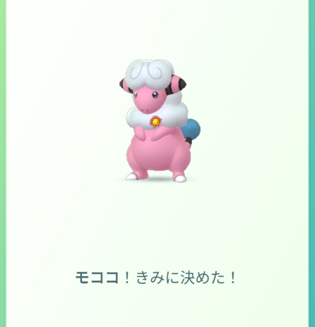 マヤ モココ 特別好きなポケモンってポケモン好きならきっといると思うのですがそのポケモンをいつ好きになったか覚えていますか 私は覚えてません おそらく好きな色のピンクででんきタイプでひつじでふわふわしてて可愛いから自然と好きになったんだ マヤ モココ 特別好きなポケモンってポケモン好きならきっといると思うのですがそのポケモンをいつ好きになったか覚えていますか 私は覚えてません おそらく好きな色のピンクででんきタイプでひつじでふわふわしてて可愛いから自然と好きになったんだ
