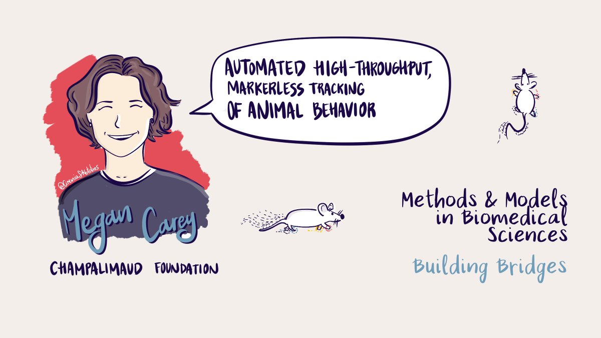 CireniaSketches's tweet photo. @AnnamariaC @EU_ScienceHub @Neuro_CF @ChampalimaudF @FRE_SCI @QuantOCancer "Making the most of your (animal) data" session is starting! I knew about @meganinlisbon´s amazing work some years ago thanks to PintofSciencePT, so it's a big pleasure for me to listen to her at #MMBridges
@EU_ScienceHub @Neuro_CF @ChampalimaudF
@FRE_SCI #Congento @QuantOCancer https://t.co/CazwKTMpjZ