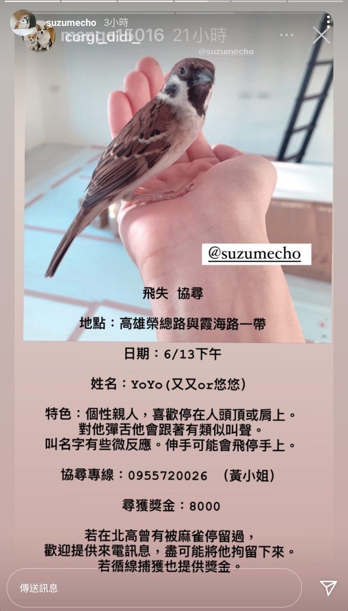 恁爸歹灣郎 Papa5535 Twitter