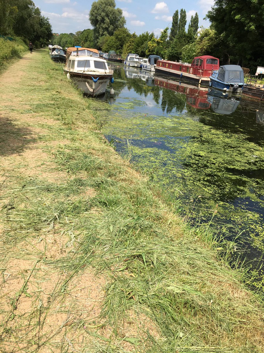 Amanda Weisbaum tweet media