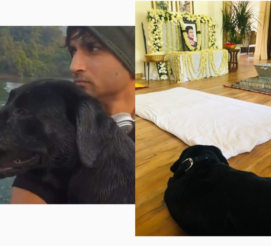 Jannat_Firdouse's tweet photo. There is no End to Grief journey bcz there's no End to my Love for You Sush ❤️

- CBI Custody 4 Pithani https://t.co/GWw2YhEir0