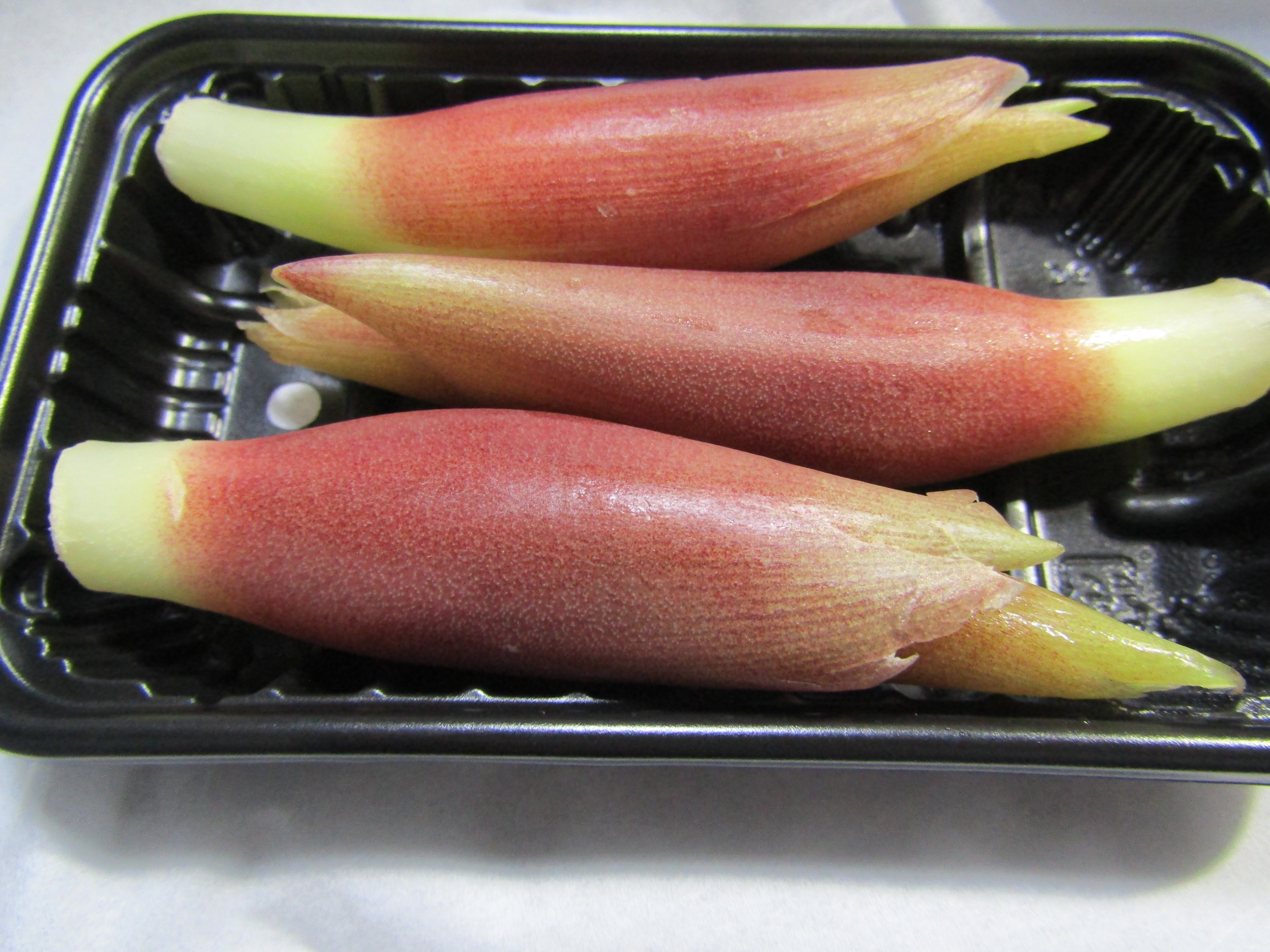 植物顕微鏡写真 趣味 ミョウガ Zingiber Mioga 花穂 最外苞葉横断面 良い感じに維管束同士が横方向に繋がっている所が切れました 維管束鞘細胞がやたらとデカいですね T Co 6wdjrruowd Twitter
