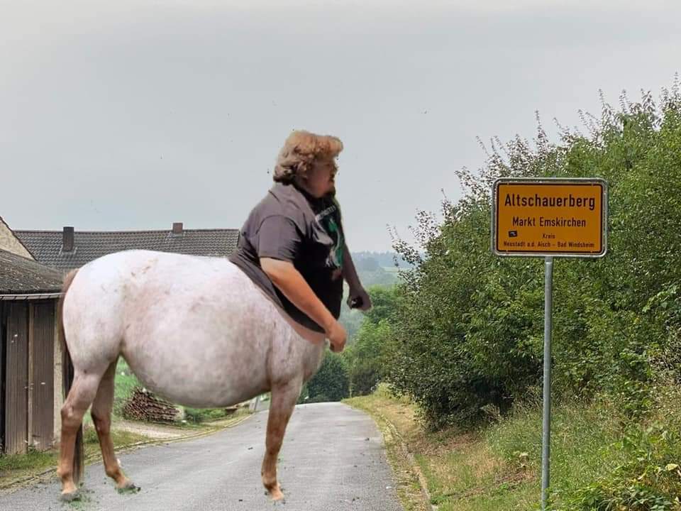 Ein Altschauerberg Gaul
#Drachenlord