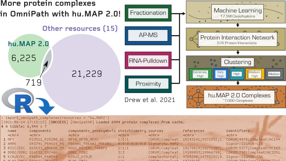 OmniPath (@omnipathdb) on Twitter photo 6,225 new protein complexes in OmniPath thanks to hu.MAP 2.0 from <a href="/kdrew/">Kevin Drew</a> <a href="/jbwallingford/">John Wallingford</a> & <a href="/edward_marcotte/">Edward Marcotte</a> 🖥️ omnipathdb.org/complexes?reso…, 🏡 humap2.proteincomplexes.org, 📰 embopress.org/doi/full/10.15… 6,225 new protein complexes in OmniPath thanks to hu.MAP 2.0 from <a href="/kdrew/">Kevin Drew</a> <a href="/jbwallingford/">John Wallingford</a> & <a href="/edward_marcotte/">Edward Marcotte</a> 🖥️ omnipathdb.org/complexes?reso…, 🏡 humap2.proteincomplexes.org, 📰 embopress.org/doi/full/10.15…