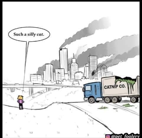 Дурацкая песня. Картинка я на домашнем режиме. Какой же глупый. Дебильные песенки. Графики прикол.