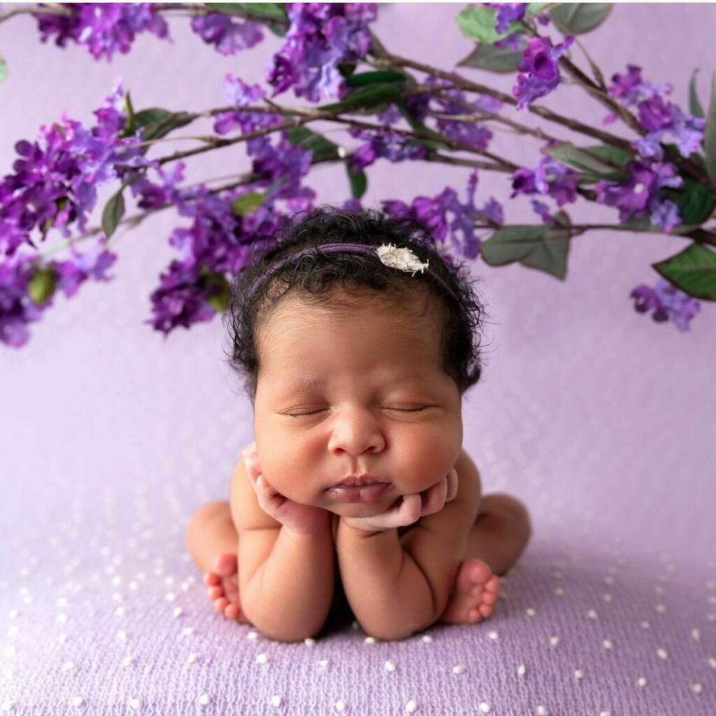 Frobabies's tweet photo. ๐๐ค๐Sweet Aliya ๐๐ค๐
.
.
. @najalerusphotography
.
#newborn #newbornposing #newbornphotography #newbornart #chicagonewbornphotographer #chicagonewbornphotography #babygirl #froggypose #flowers #lavender #frobabies #summerbaby #beautifulbabies #cutie #cutestbabies #beautifโฆ https://t.co/aEVmf7963t