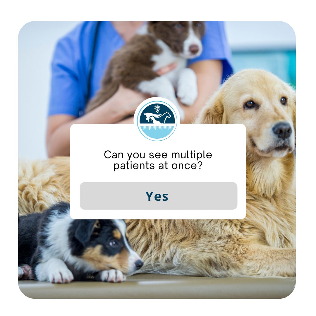 vetmeasure's tweet photo. Yes! Every patient wearing a MeasureOn! harness that is connected to the clinic’s Wi-Fi will be seen on the home screen of the patients’ tab. Vitals will even be highlighted in red if they are outside of the pre-set safe ranges. #VetMeasure #MeasureOn #Vet https://t.co/Ws2GR05AcH