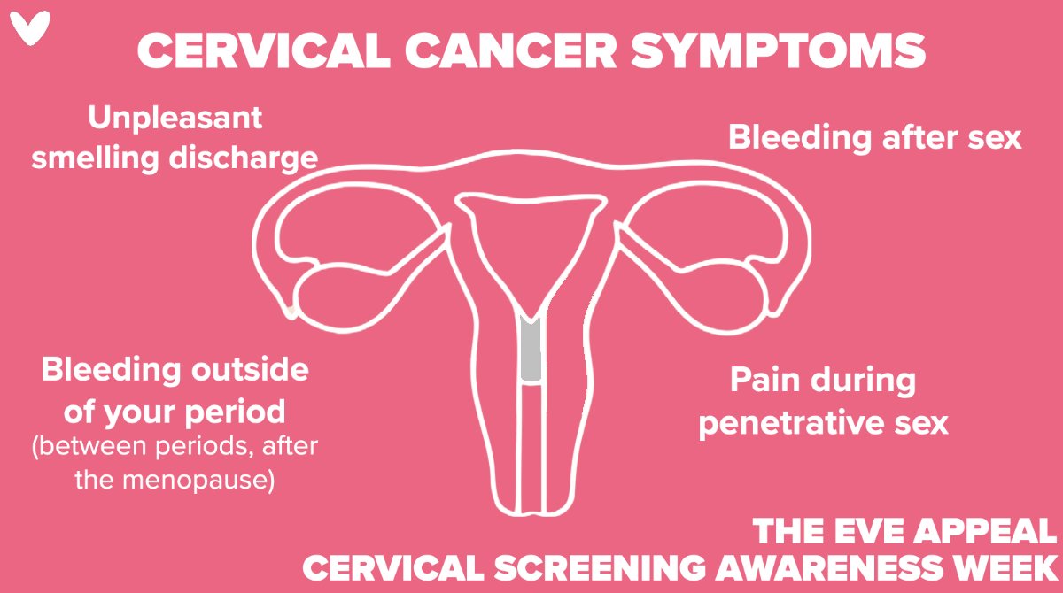 The Eve Appeal ❤️ on X: This #CervicalScreeningAwarenessWeek get to know  the symptoms of #CervicalCancer: 🛑 Bleeding after sex 🛑 Bleeding between  periods 🛑 Bleeding after the menopause 🛑 Pain or discomfort