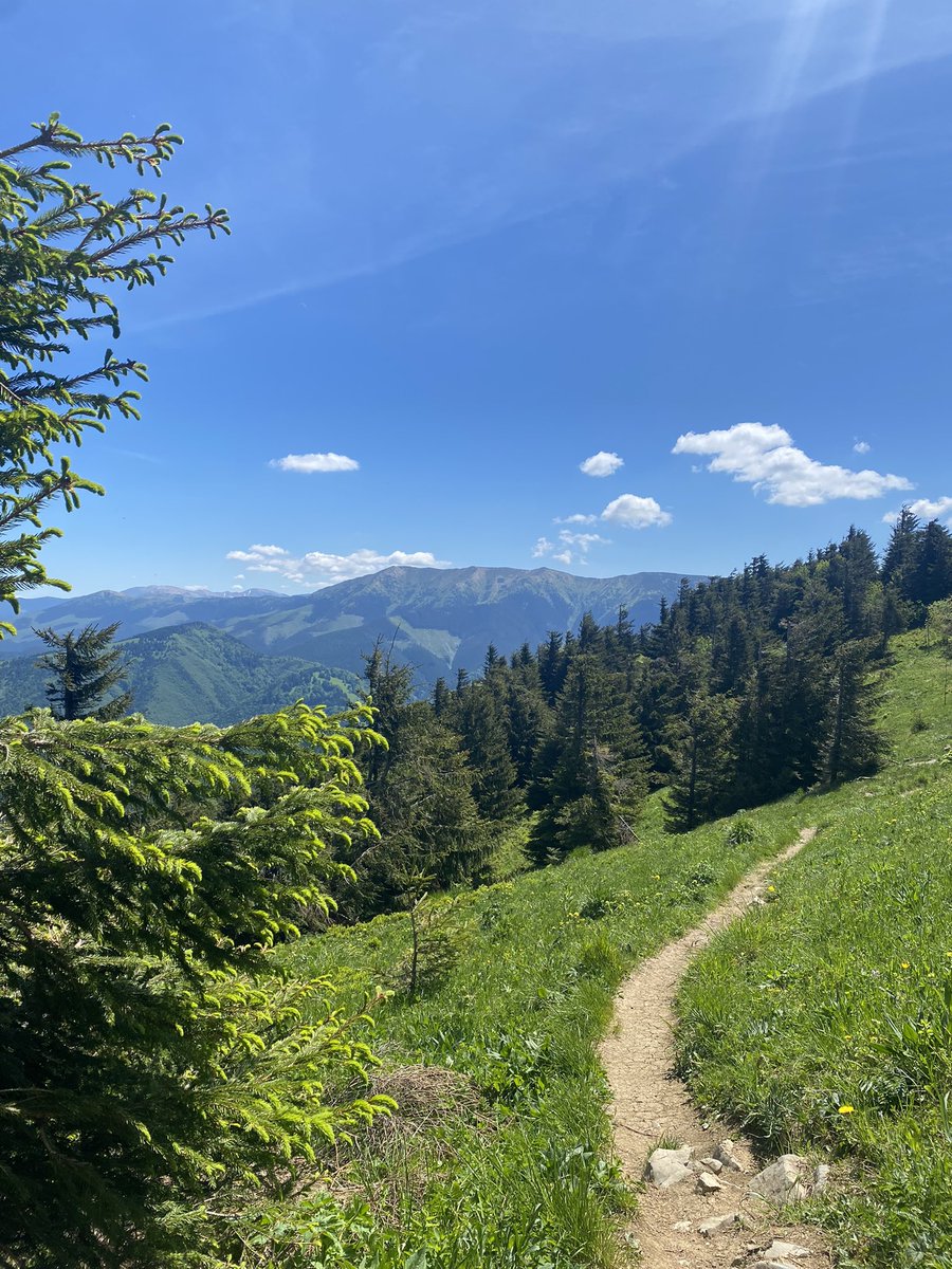 _Donovaly's tweet photo. No filter needed 🍀🌲☘️🌳

Čakajú nás nádherné slnečné a horúce dni, príďte ich stráviť do prírody, k nám na Donovaly ⛰ https://t.co/uWVX3TYz3O
