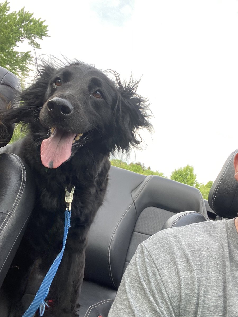 PepperB15's tweet photo. Love the wind in my hair! https://t.co/JDRW6IUQ5a