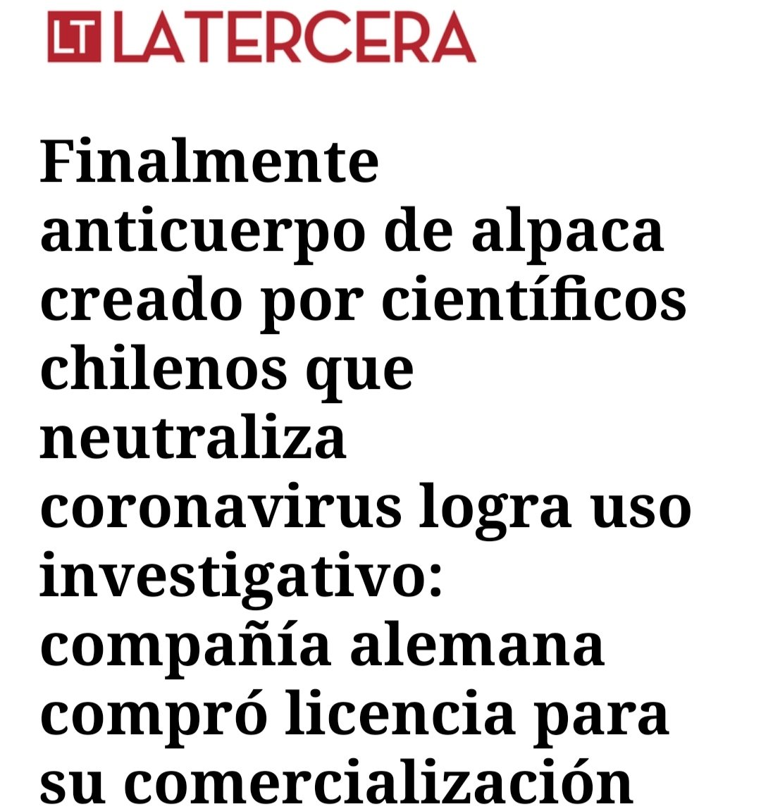 pedrodvaldivia's tweet image. Nadie es profeta en su tierra. #valdivia #Valdiviacl #LosRios #Chile