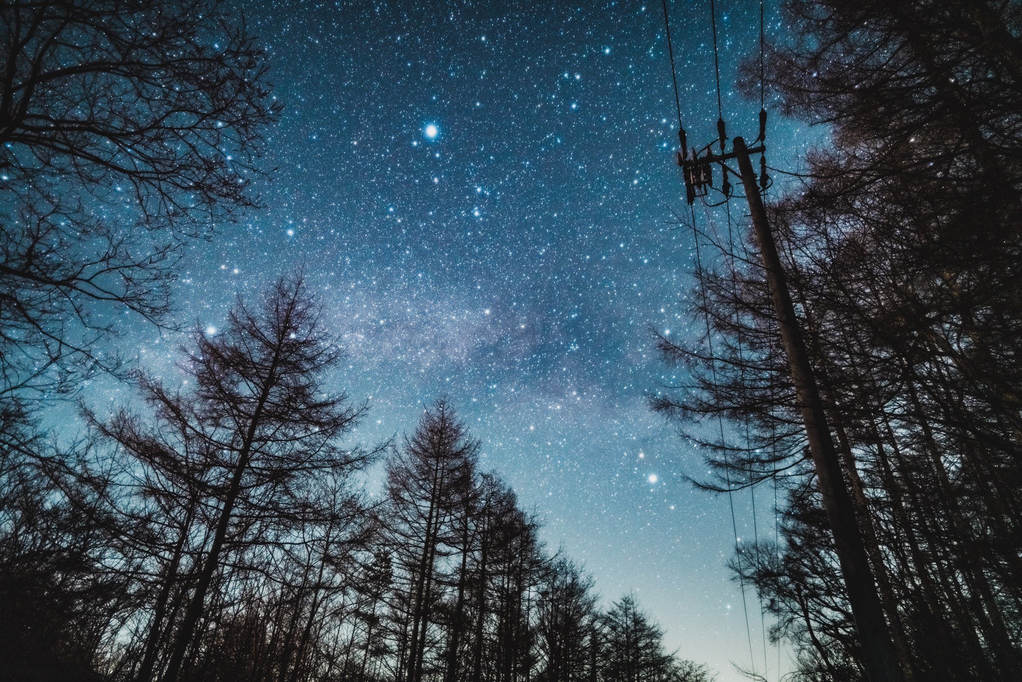 ごりかめ 綺麗な夜空を見ていきませんか このタグが流行ればフォロワーが増える説 T Co T0wjfnfum2 Twitter