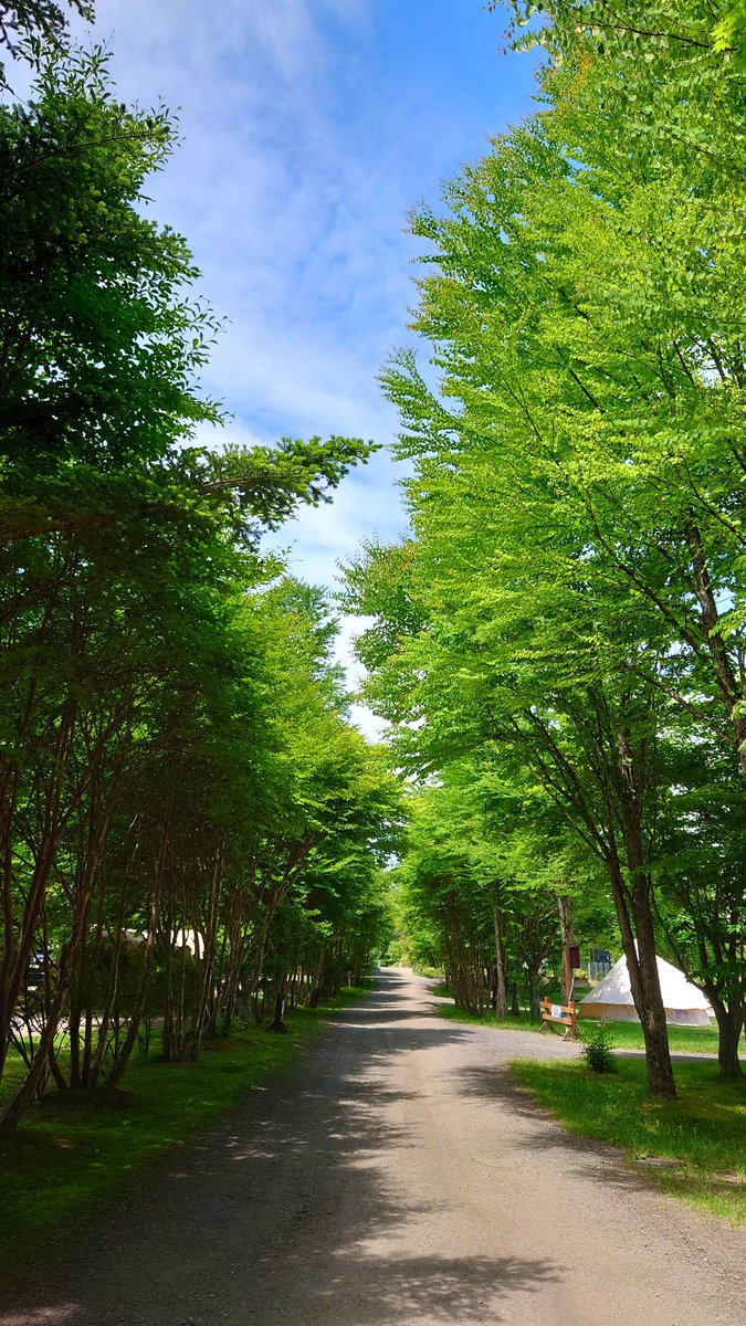 Bambusdorf's tweet photo. 先日のキャンプ写真が個人的にお気に入りだから、たまにはガッツリ加工して遊んでみた！

鮮やか過ぎて目がチカチカする(+_+)

#北軽井沢スウィートグラス
#ソロキャンプ
#鎌倉天幕
#HIDEOUTTC https://t.co/K34CgIu613