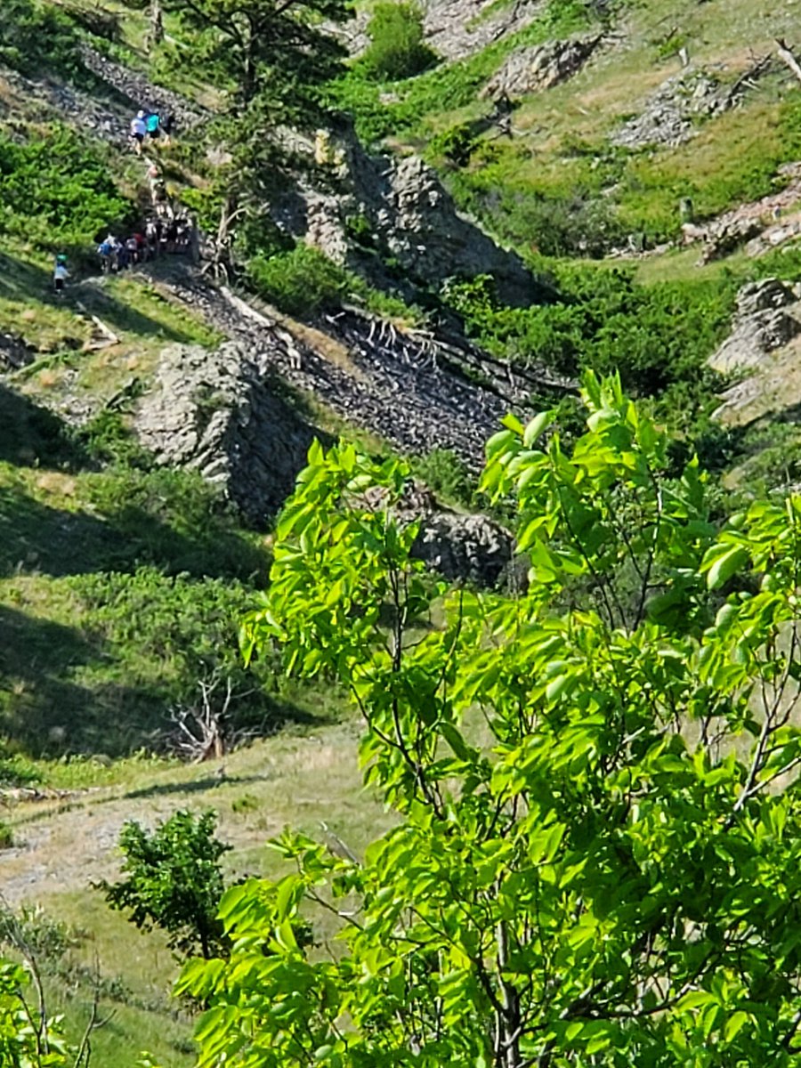MJShort's tweet photo. After working, went to Spearfish Falls and to Bear Butte.  Some of them made it to the top. https://t.co/YZnyz4R7tm