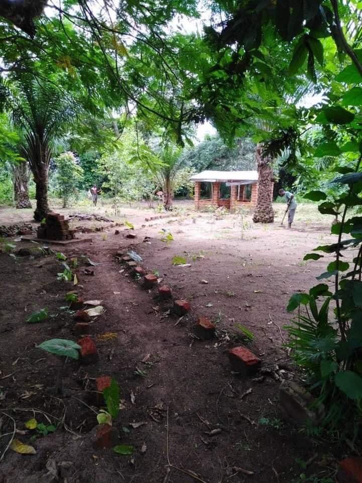 Nanahtakaza's tweet image. #day547 we taking action voor #climatjustice #challenge2020 #80milliontrees #carbonsink #RDCongo #DRCongo #ActNow with us for a #CO2 neutral world @chiefstonefox @critchlow_carol @OurWorldInData @VoiceOfCongo @GryllsMaitreya @WakioDorcas @CrissyNankya @congo_for @Alfredo19981375