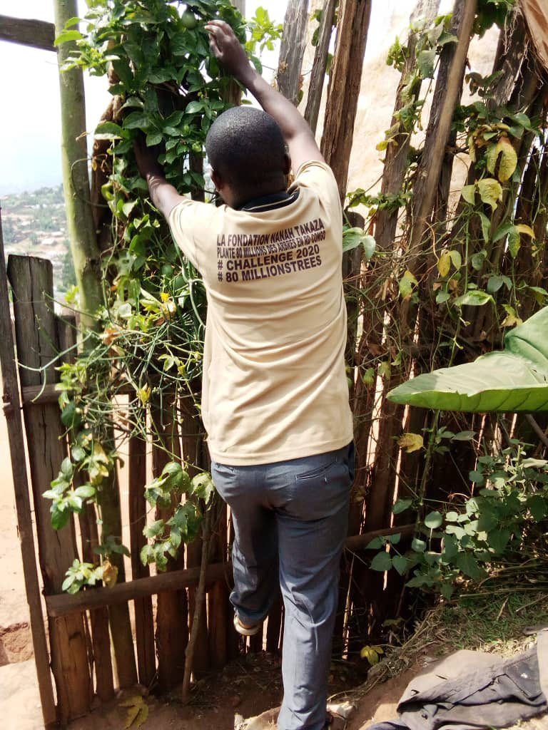 Nanahtakaza's tweet image. #day547 we taking action voor #climatjustice #challenge2020 #80milliontrees #carbonsink #RDCongo #DRCongo #ActNow with us for a #CO2 neutral world @chiefstonefox @critchlow_carol @OurWorldInData @VoiceOfCongo @GryllsMaitreya @WakioDorcas @CrissyNankya @congo_for @Alfredo19981375