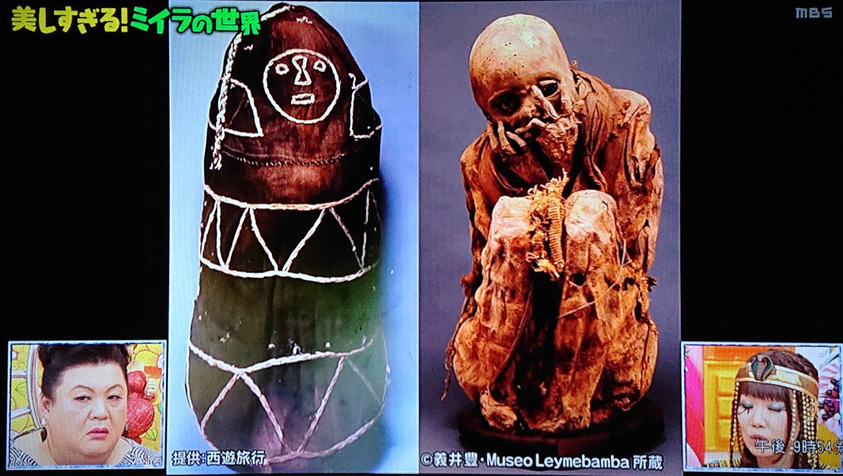 ミイラ X マツコの知らない世界 Hotワード