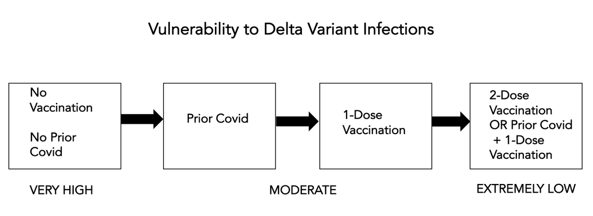 EricTopol's tweet photo. The spectrum of vulnerability to the Delta variant based on available data, w/ attention to prior covid (about 1 in 3 Americans)
—2-dose mRNA provides 95% protection from severe illness
—differences in 2 middle categories vary by vaccine, endpoints (re)infection vs severe illness https://t.co/bBKdYuqhXm