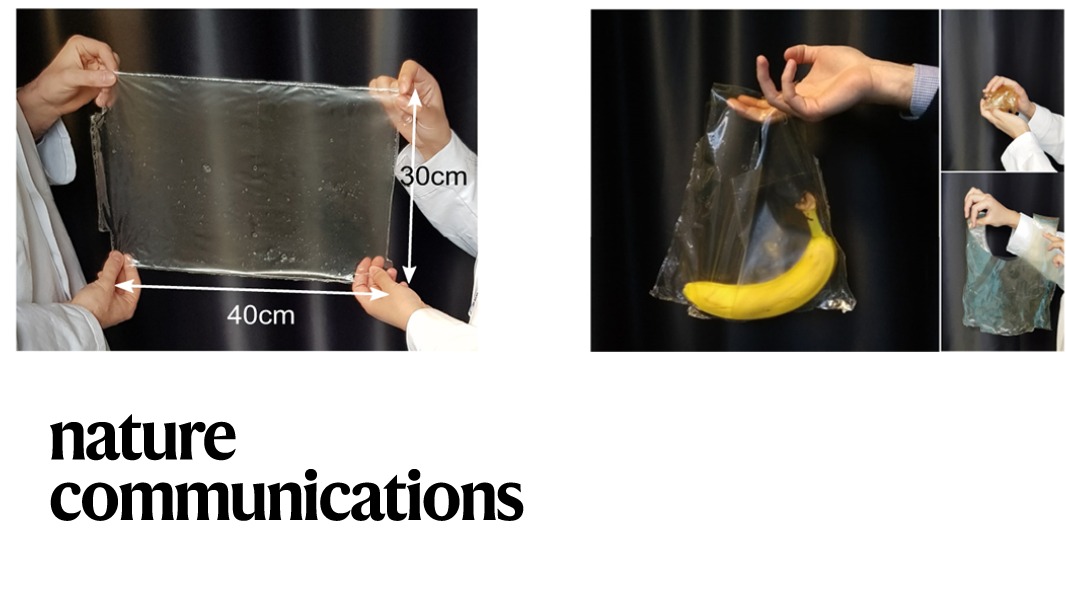 Nature Portfolio tweet media