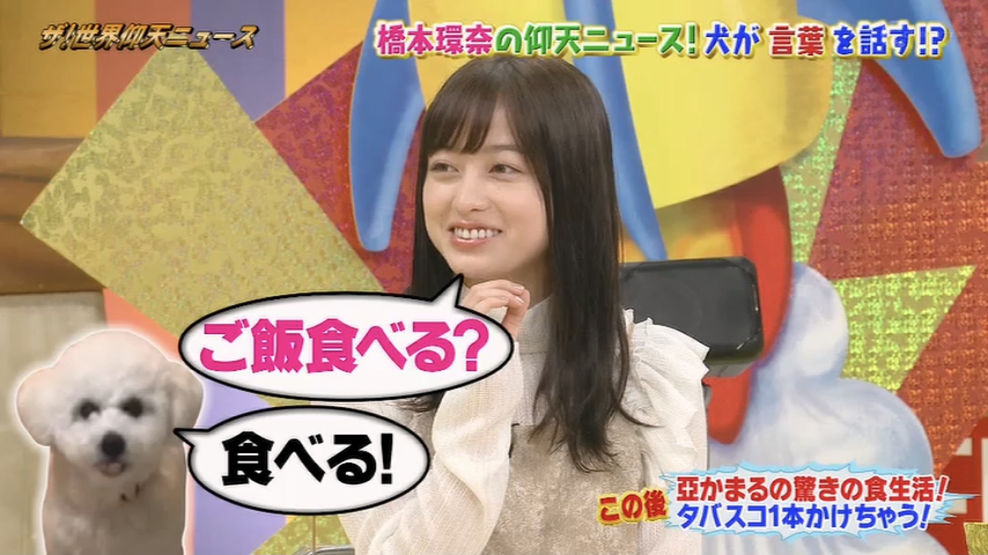 Vitaminjp Mgさんの日本語喋る犬 インスタライブやマイルールのエピソード 番宣なくても出たいけどお知らせは別 な流れまで全部仰天な内容で面白かったです バラエティーに出てる環奈さんはやっぱりいい 橋本環奈 仰天ニュース