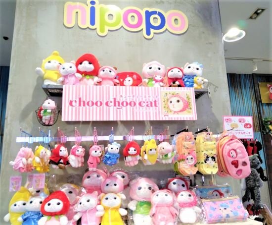 Nipopo原宿ｷｬｯﾄｽﾄﾘ ﾄ店 Nipopoharajuku Twitter