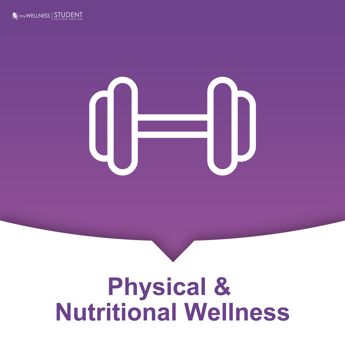 CCSuccessServ's tweet photo. Physical and Nutritional Wellness promotes proper care of our bodies through physical activity, proper nutrition, and a strong mind. Maintaining optimal health & functioning.
@CC_Condors @CStudentsInc @ConestogaLRC #ConestogaCollege #myCCwellness #HealthAndWellnessWeek #wellness https://t.co/8NBXph6Vet