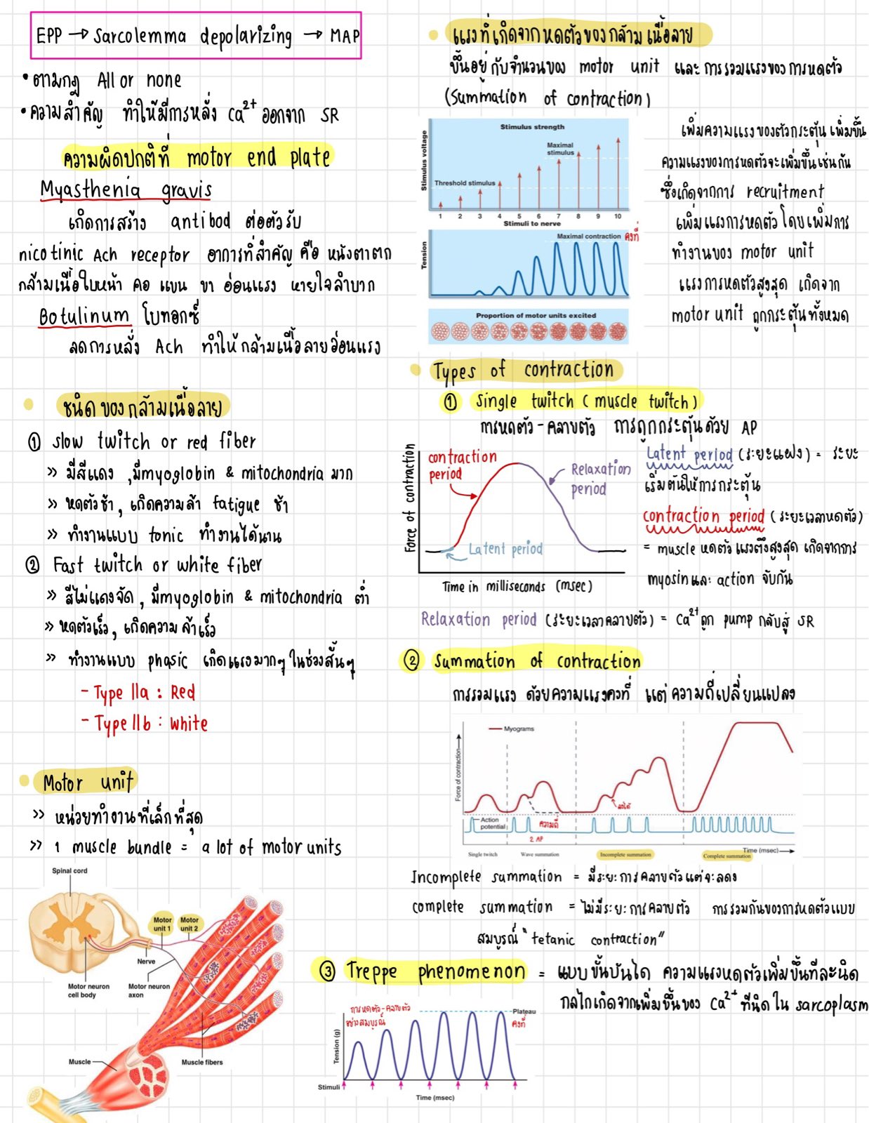 Clearnote Thailand on Twitter: 