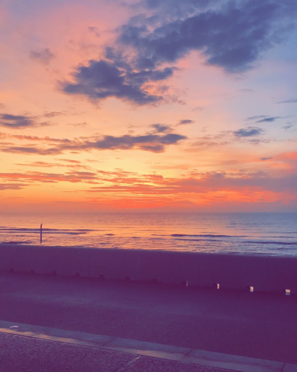 BlackpoolSixth's tweet image. 🌱📸  Nature Photography Day 📸 🌱

Photo by Lower Sixth photography student Emily Mellow.