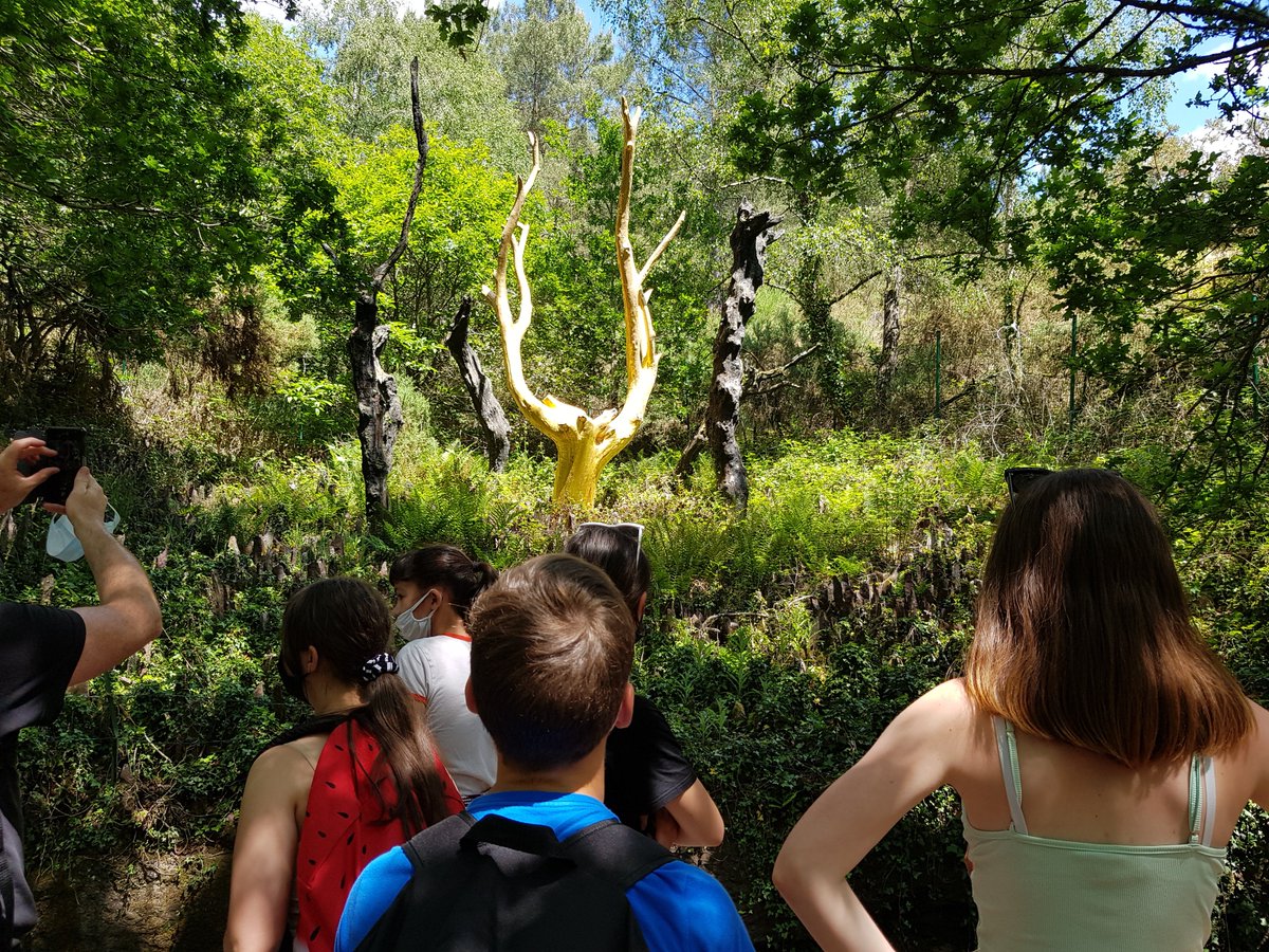 MurStjo's tweet photo. Sortie des 4es à Brocéliande: au programme visite guidée de la forêt en anglais, tournoi de chevaliers et visite de la Porte des Secrets. Tout cela sous un ciel radieux! https://t.co/XM18vhr27F