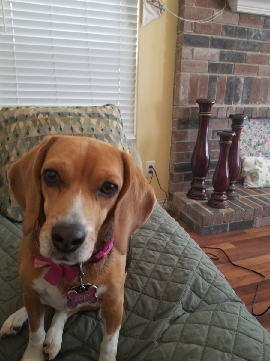 Ready for a day of learning with <a href="/ntxlibcamp/">NTXLibcamp</a>! It may look different, but the  sessions sound amazing, as usual.