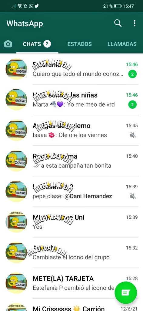 nuristar21's tweet photo. @criscarrion01 @estefaniaalfonp https://t.co/EYwLgbhnRw