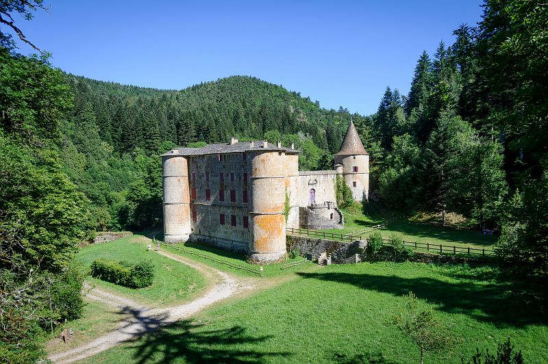 MagnifiqueFrance tweet media