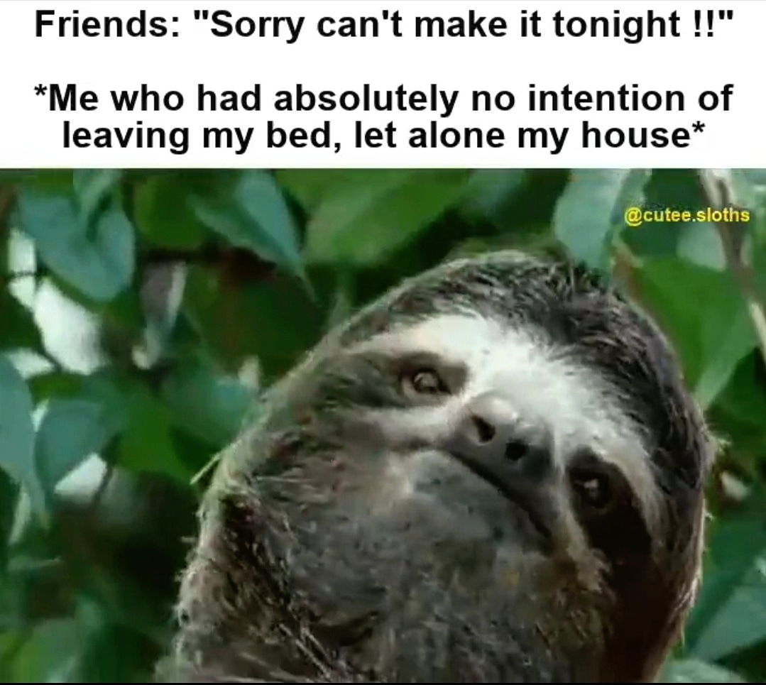 How about no meme sloth