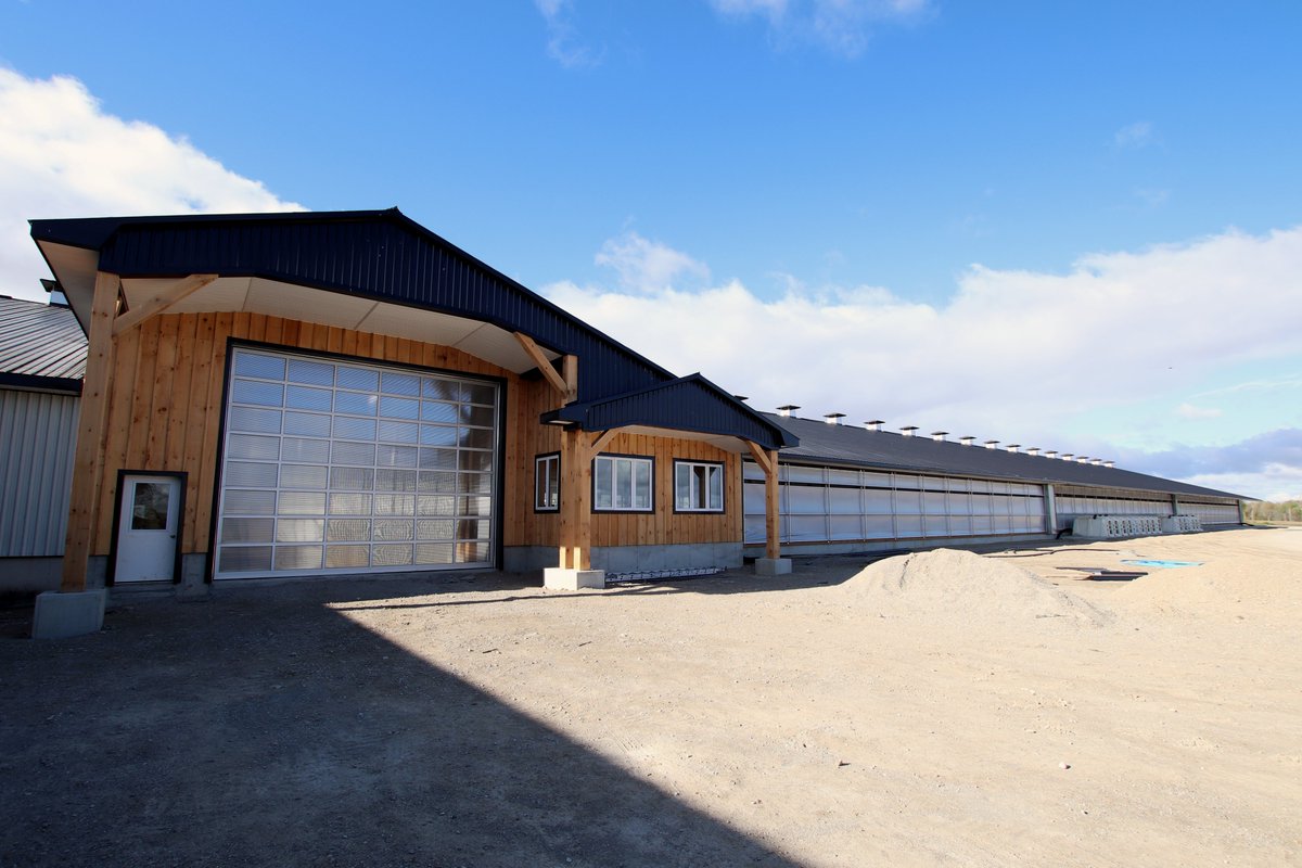 DLS on Twitter "3/4 Cows have recently moved into the new barn