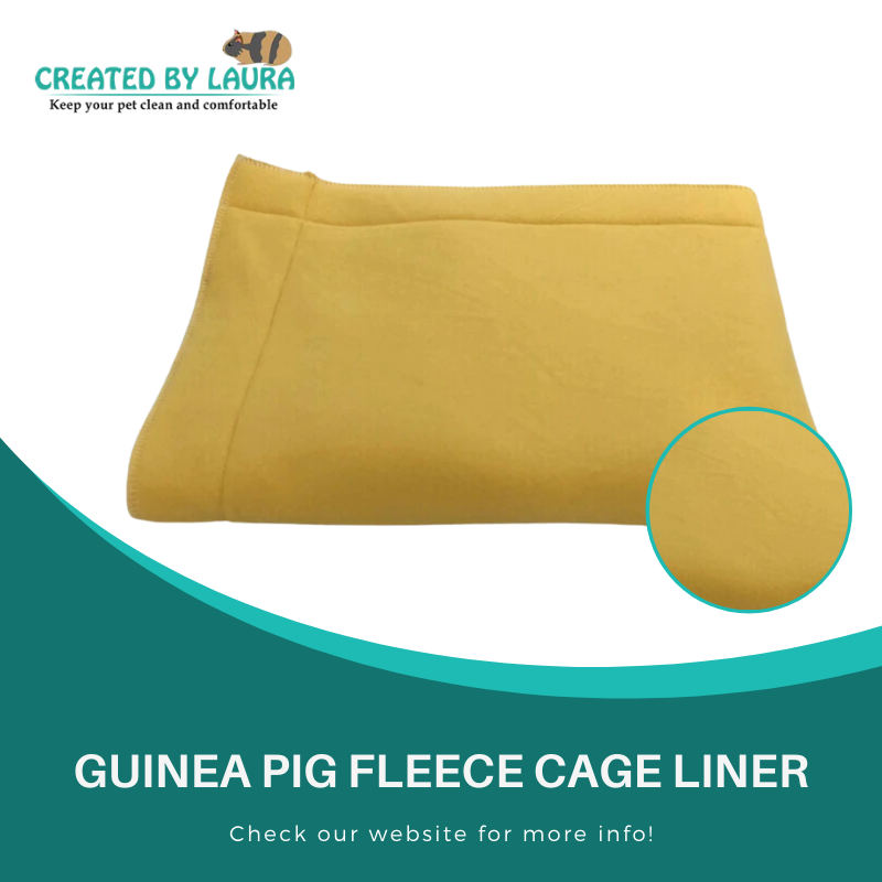 Absorbent cage liners for guinea pigs are a safe, efficient, and sanitary way to keep your small pet's cage clean!

👉 Buy yours here:
createdbylaura.com