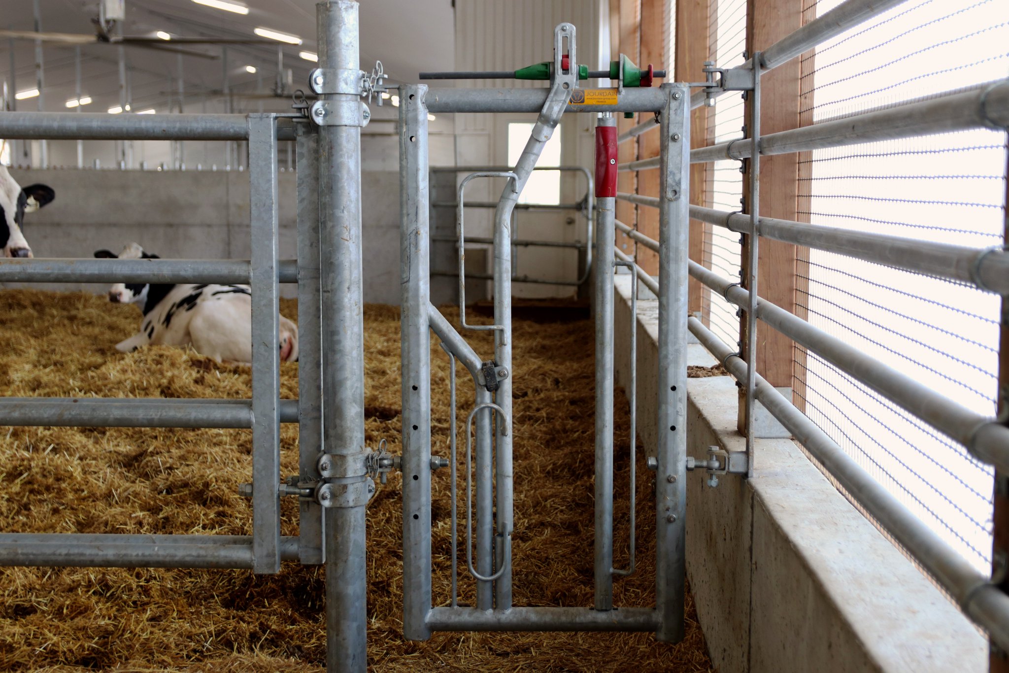 DLS on Twitter "3/4 Cows have recently moved into the new barn