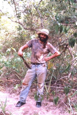 David Bertioli tweet media