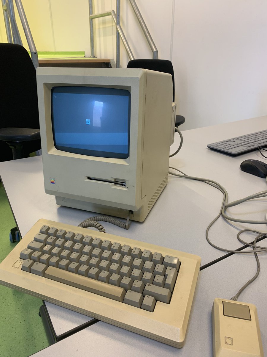 Rasa Muller tweet media