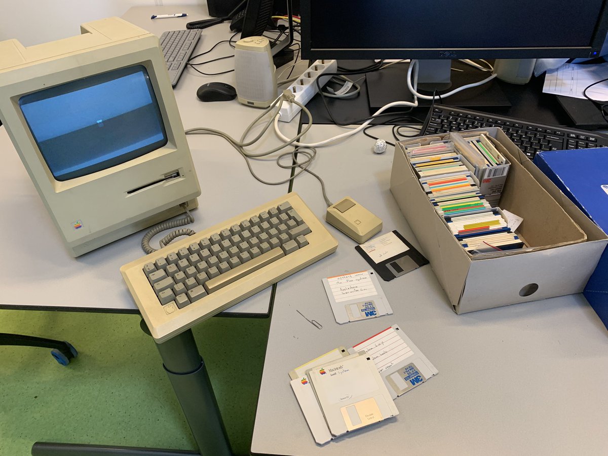 Rasa Muller tweet media