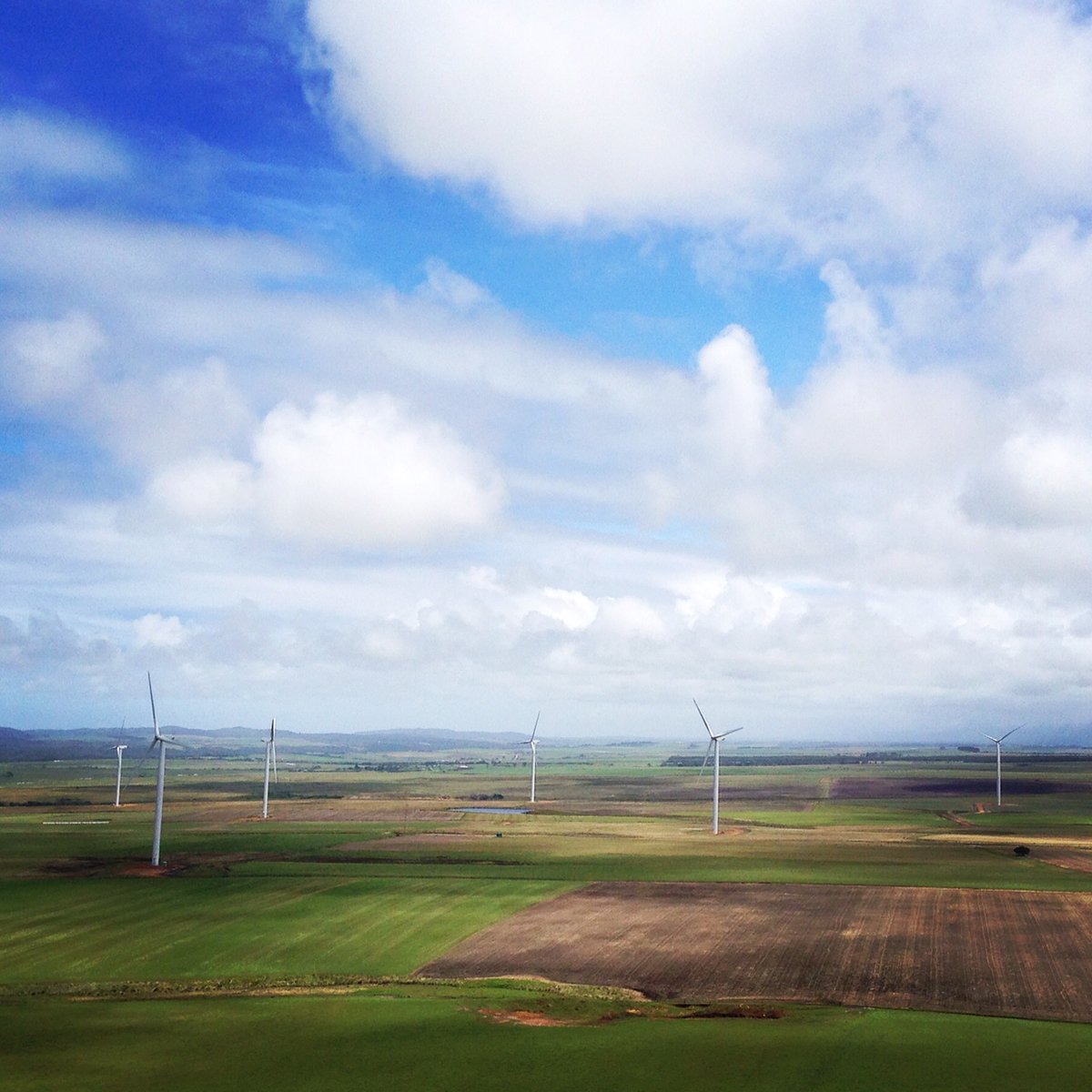 RedCapEnergy's tweet image. Happy #GlobalWindDay!