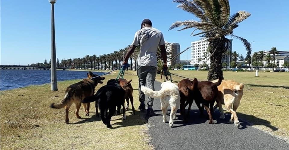Mental Health: The Life and Death of an Immigrant Dog Whisperer - goodthingsguy.com/opinion/immigr…
