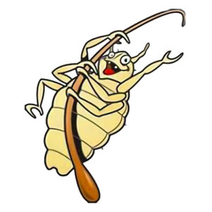 Its #national #bug #busting #day!
We don't cover #headlice on our #firstaid courses, but we do cover cover #diseases to help you stay #safe.
#Courses start from £50 per person - contact us today:
awillson@landmarkconstructionltd.co.uk
#suffolk #essex #norfolk #business #training