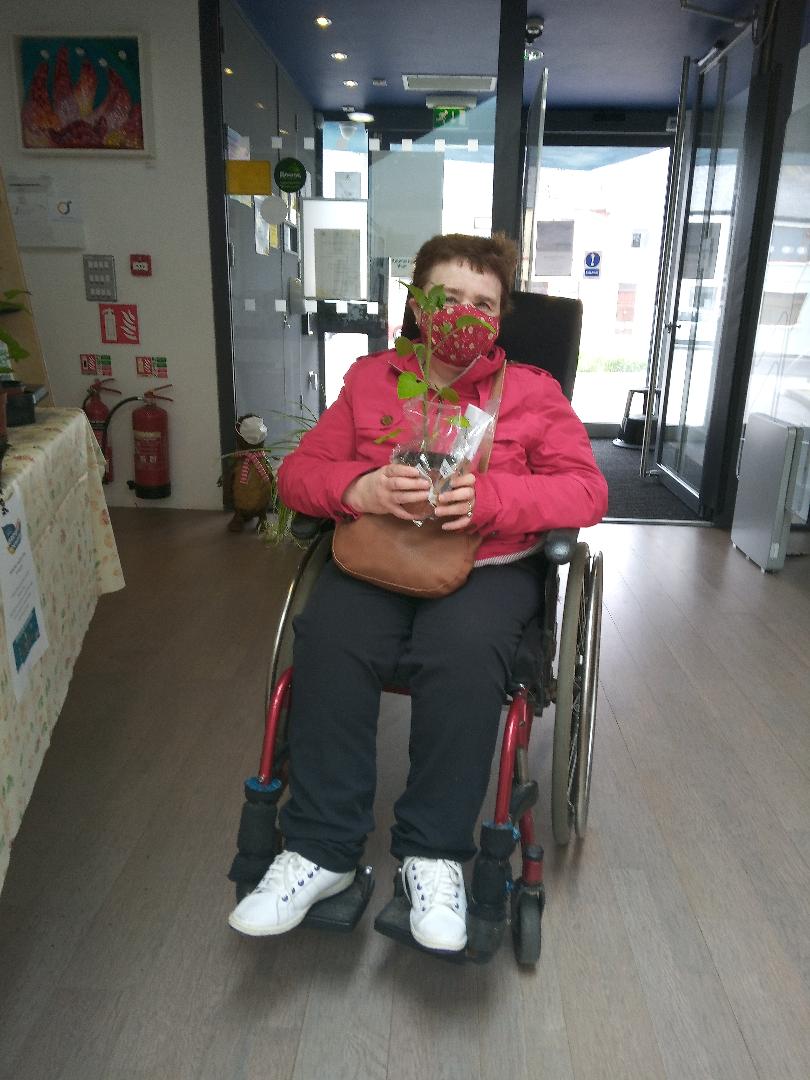 clarelibrary's tweet image. Really positive response to our #sharingtable here in #Kilkee library. A huge thanks to those of you who donated your own veg and flower seedlings and plants. 
Still a few tomatoes left, so call in! 

#GrowItForward #growityourself #GetIrelandGrowing #KeepWell #sharingtables