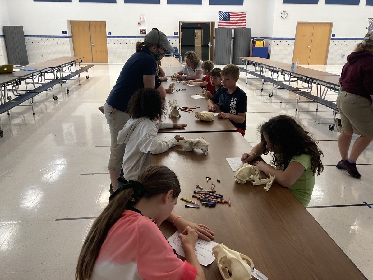 awlsmo's tweet image. Thank you to the Toledo Zoo for kicking off our Nature summer learning camp theme! #summercamp2021 
#animalfun