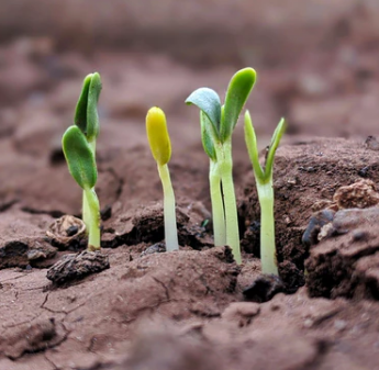 josephsims57's tweet photo. Listen to this week's episode to get started on your growth journey! https://t.co/MpFgPSAup6 https://t.co/oFGTseQK0F