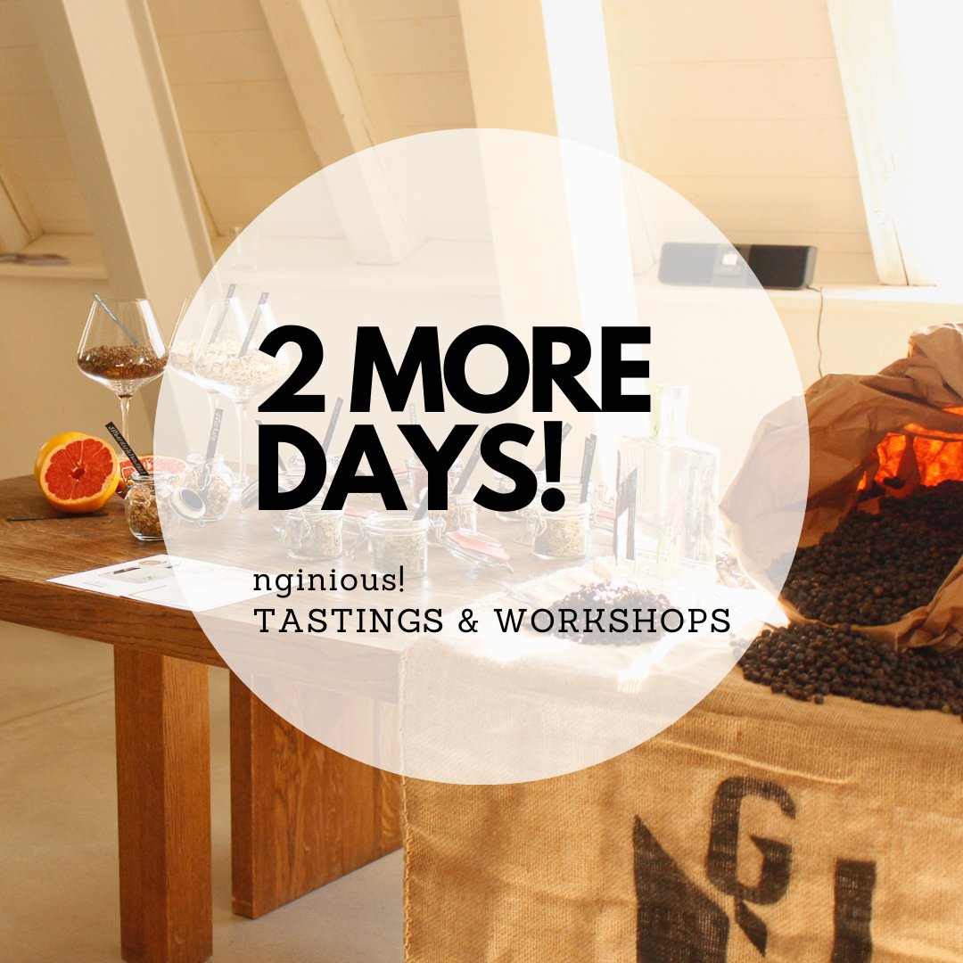 nginious! Gin tweet media