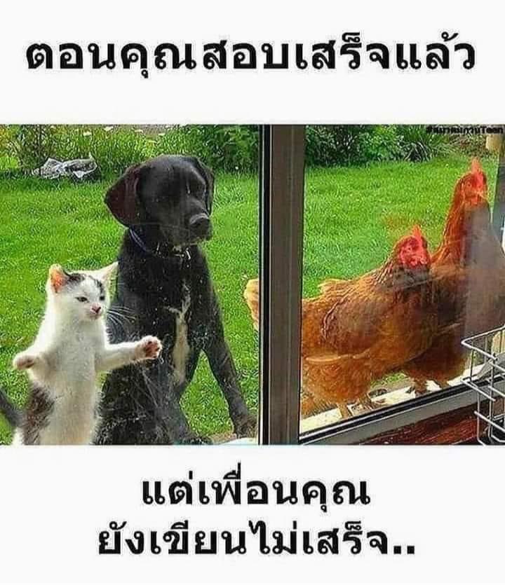 อันนี้จริงมึงงง แล้วในกลุ่มจะมีเพื่อนคนนึงที่กว่าจะทำข้อสอบเสร็จคือนานมากก คือกูรออยู่ หิวข้าว5555555555555555555