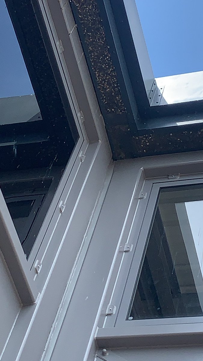 Rupert Christie tweet media