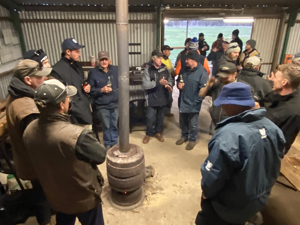 David Pfeiffer tweet media